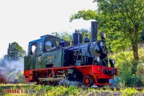 Die Dampflokomotive Spreewald ist in Herscheid im Einsatz. • © ummeteck.de - Christian Schön